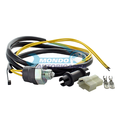 Interruptor piloto de marcha atras