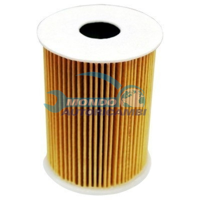 Filtro Olio Ecologico