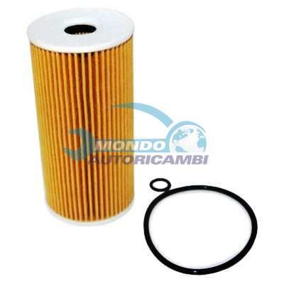 Filtro Olio Ecologico
