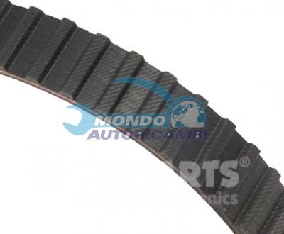 Timing Belt