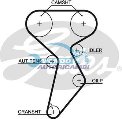 Timing Belt