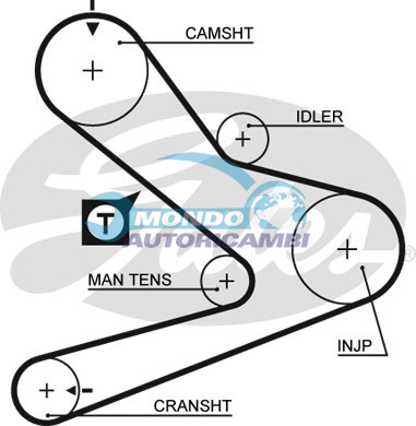 Timing Belt