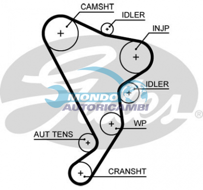 Timing Belt