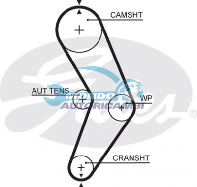 Timing Belt