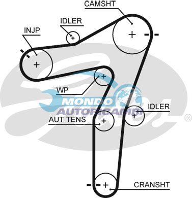 Timing Belt