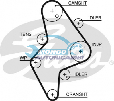 Timing Belt