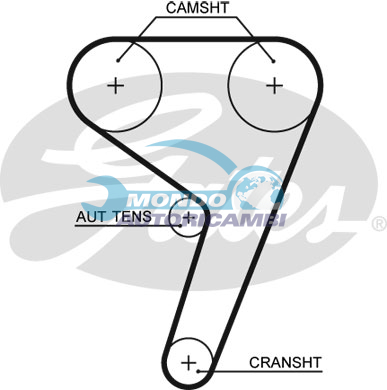 Timing Belt