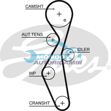 Timing Belt