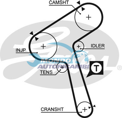 Timing Belt