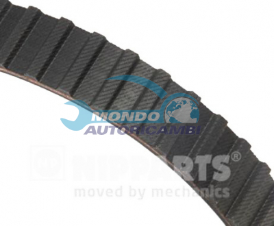 Timing Belt