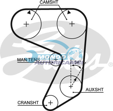 Timing Belt