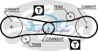 Timing Belt