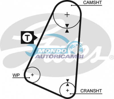 Timing Belt