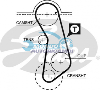 Timing Belt