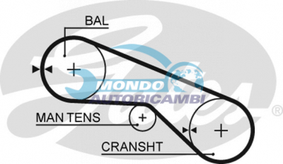 Timing Belt
