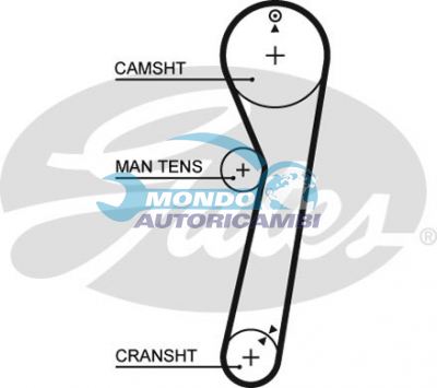 Timing Belt