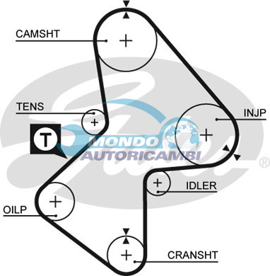 Timing Belt