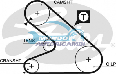 Timing Belt