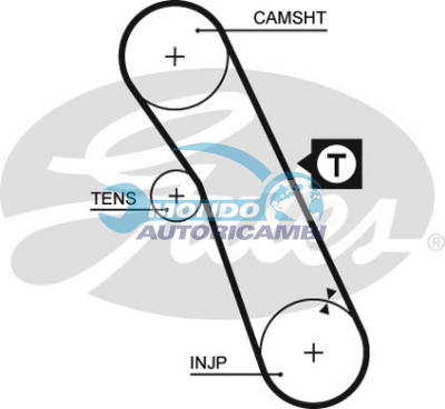 Timing Belt