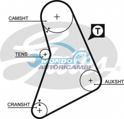 Timing Belt