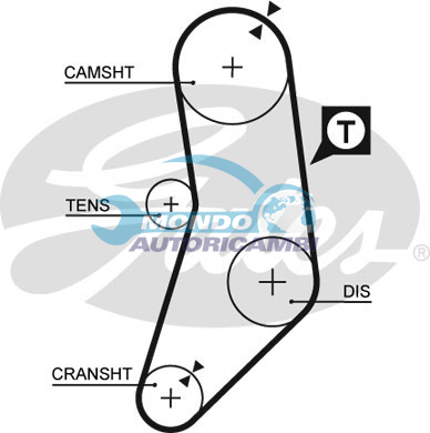 Timing Belt