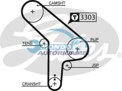Timing Belt