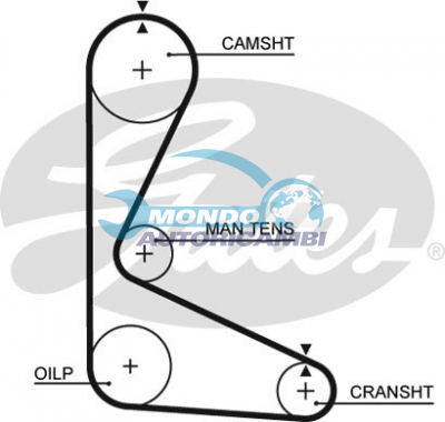 Timing Belt