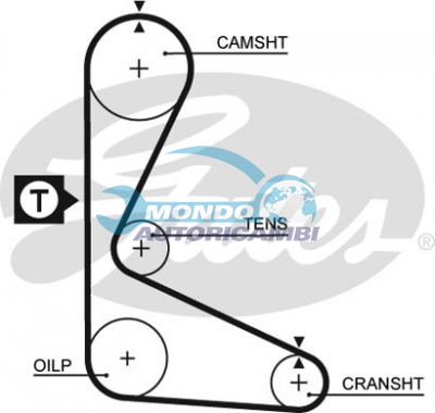 Timing Belt