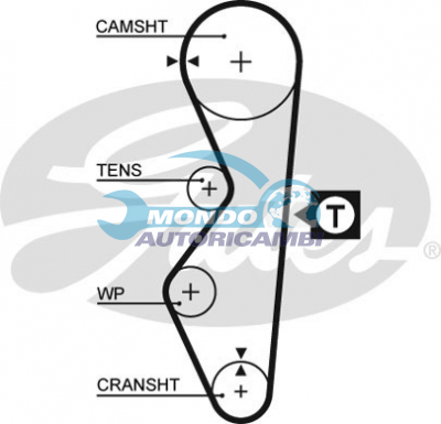Timing Belt