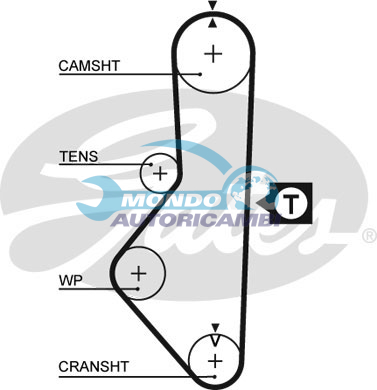 Timing Belt