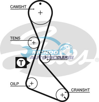 Timing Belt