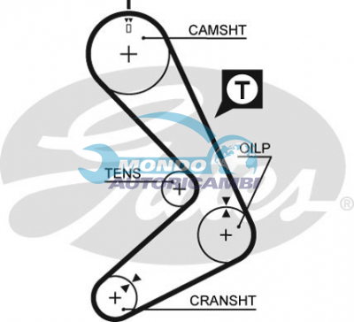 Timing Belt