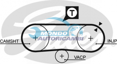 Timing Belt