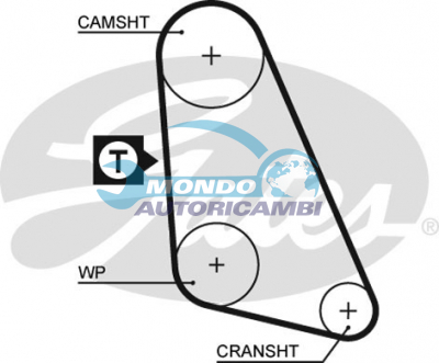 Timing Belt
