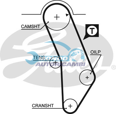 Timing Belt