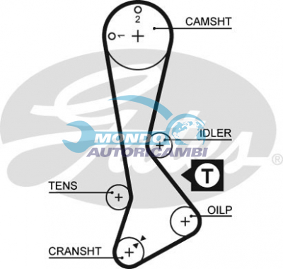 Timing Belt