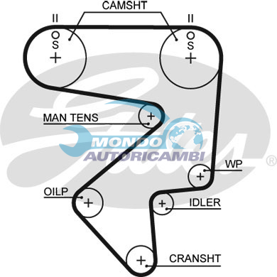 Timing Belt