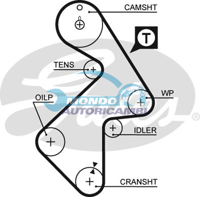 Timing Belt