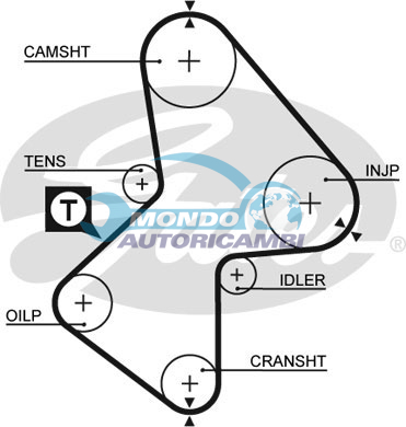 Timing Belt