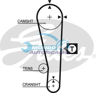 Timing Belt