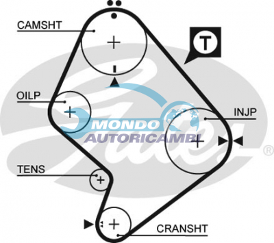 Timing Belt
