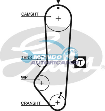 Timing Belt