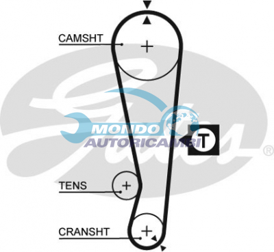 Timing Belt