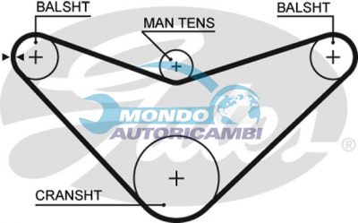 Timing Belt
