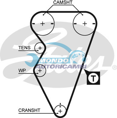 Timing Belt