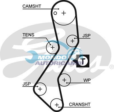 Timing Belt