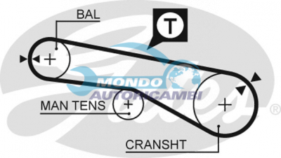 Timing Belt