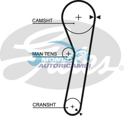 Timing Belt