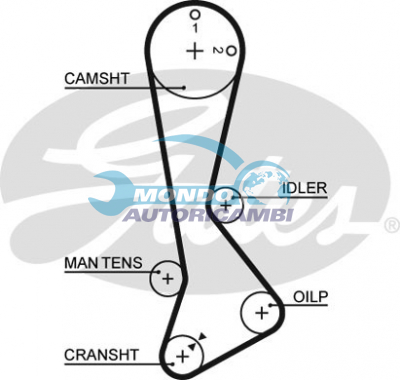 Timing Belt