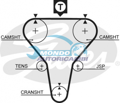 Timing Belt